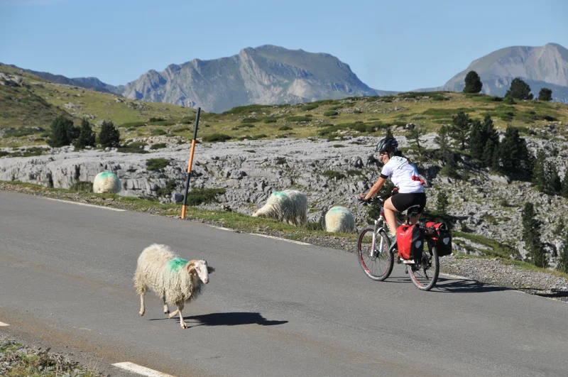 Vélo de route Le col de la Pierre-Saint-Martin depuis Licq-Athérey — Menditte