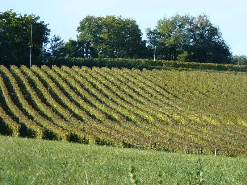 Vélo de route Châteaux et vignobles du Madiran (cyclotourisme) — Lembeye