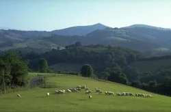 Vélo de route Le tour de Soule (cyclotourisme) — Menditte