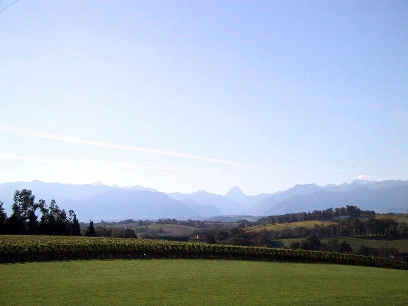 Vélo de route Les coteaux de Jurançon (cyclotourisme) — Monein