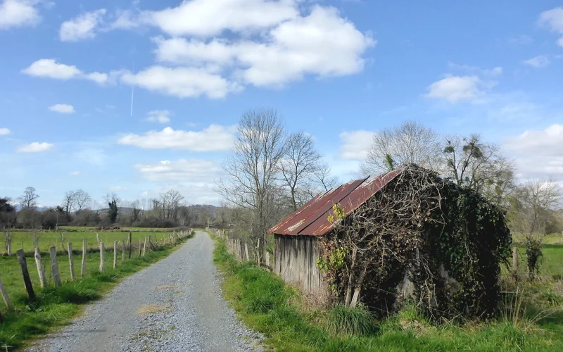Vélo de route VTC 1 Entre plaine et gave — Arros-de-Nay