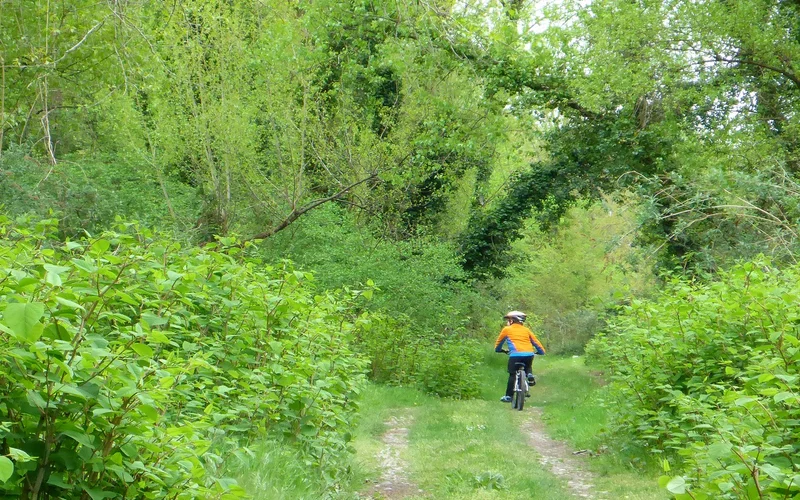 Vélo de route Circuit vélo 1 : boucle du Gave et de la saligue — Nay