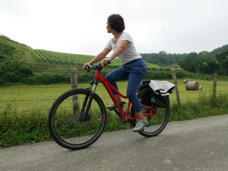 Vélo de route Baigorry et vignoble d'Irouléguy — Iholdy