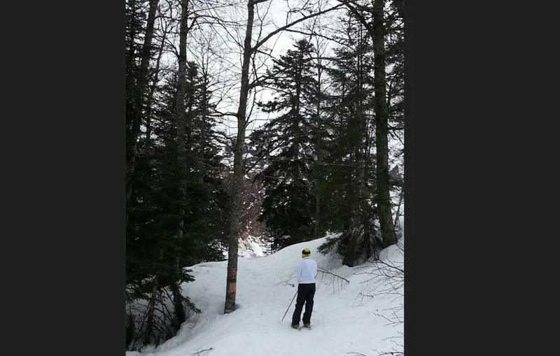 Raquettes Circuit raquette Le Bois des Crétets — Gourette