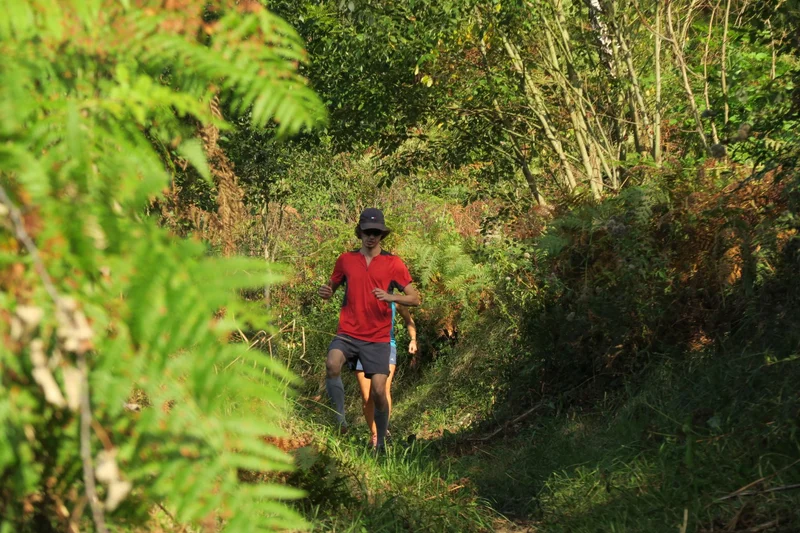 Trail N°24 Trail de Bergout — Jouers