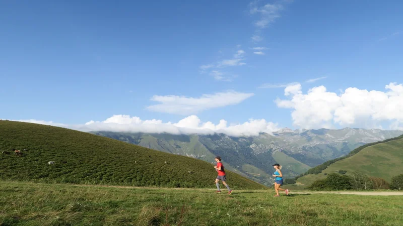 Trail N°25 Kilomètre vertical du Bergout — Jouers