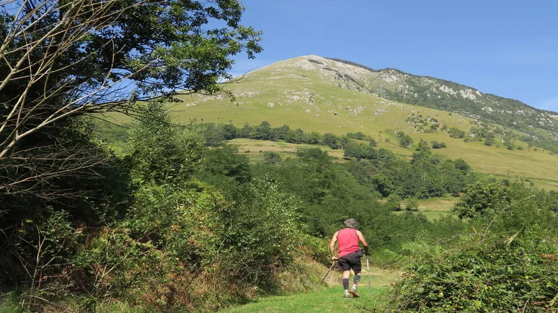 Trail N°37 Kilomètre vertical du Layens — Osse-en-Aspe