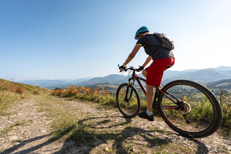 Vélo de route 2 - San Antoni Handia VTT — Menditte