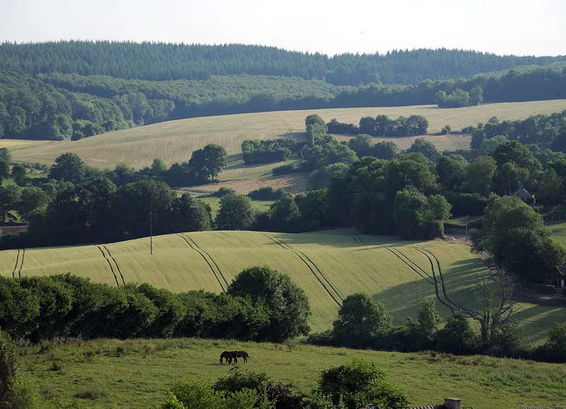 Randonnée Le Tour des Collines du Perche à pied — Nogent-le-Rotrou