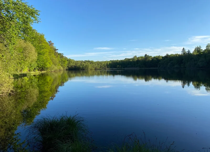 Randonnée Sentier de l'étang de la Lande Forêt — Le Grais