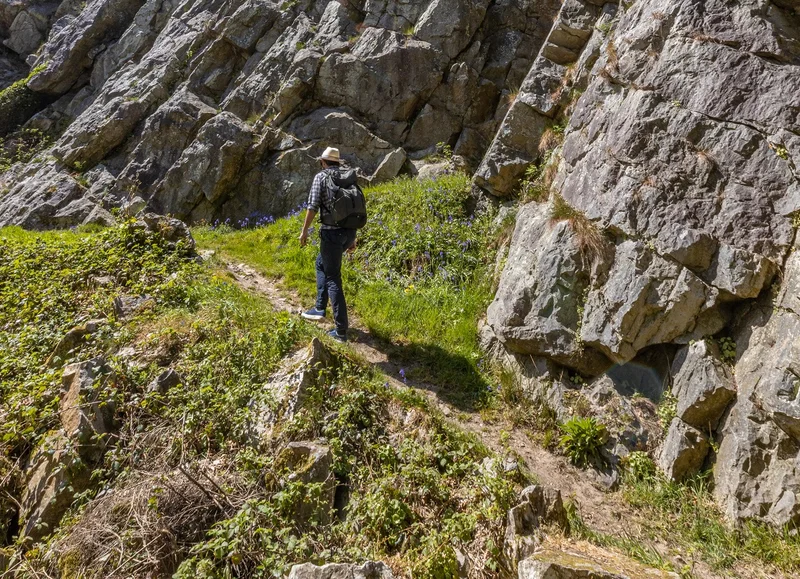 Randonnée Le parcours du Tertre Sainte Anne, Domfront - Randonnée à pied — Domfront