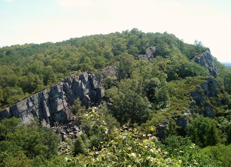 Randonnée La Fosse Arthour : entre Terres et Marais — Rouellé