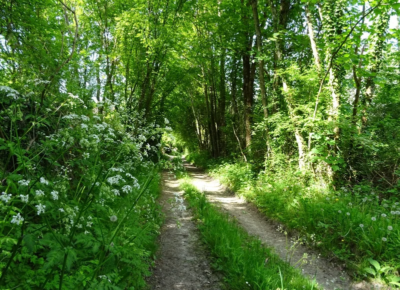 Randonnée Marchemaisons - Aunay-les-Bois - Randonnée à pied · Marchemaisons
