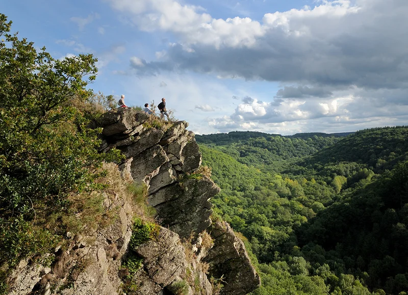Randonnée Parcours botanique à la Roche d'Oëtre en Suisse Normande — Bréel