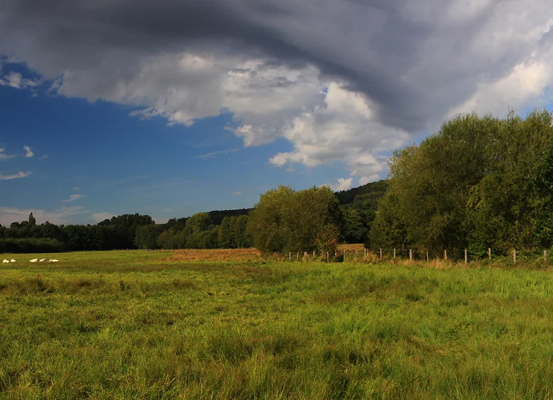 Randonnée La Butte du Château - Randonnée à pied dans le Perche — Bretoncelles