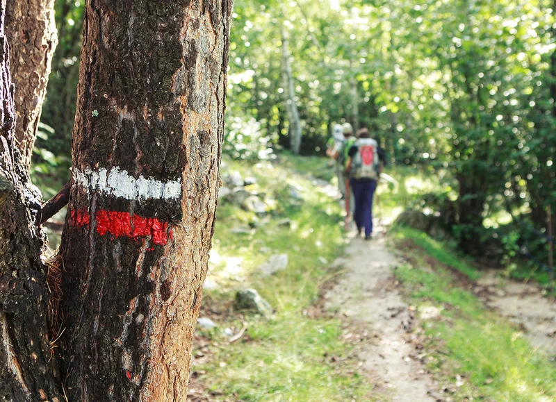 Randonnée Berjou de haut en bas - Randonnée à pied en Suisse Normande — Berjou