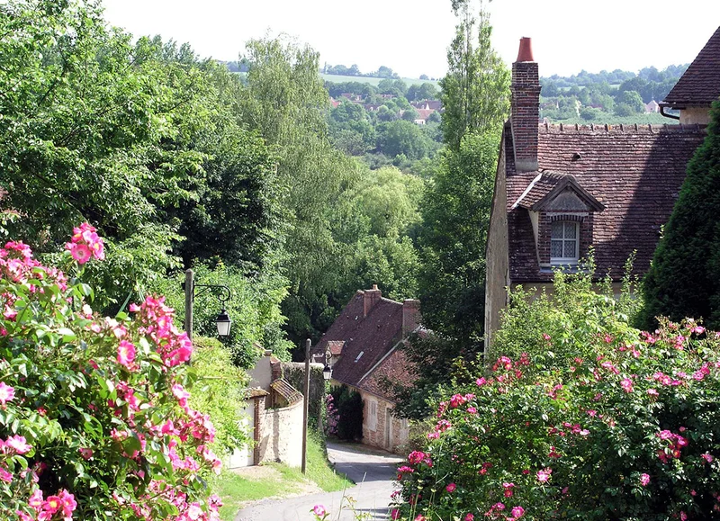 Randonnée Le Bois de Condeau - Randonnée à pied dans le Perche — Sablons sur Huisne