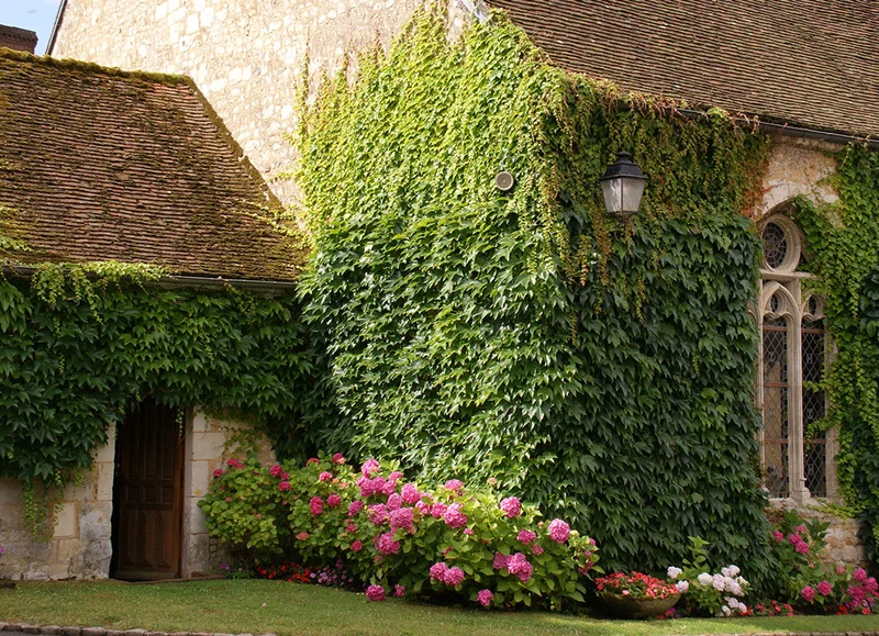 Randonnée Le Gîte les Bruyères, la Chapelle Montligeon - Randonnée à pied dans le Perche — La Chapelle-Montligeon