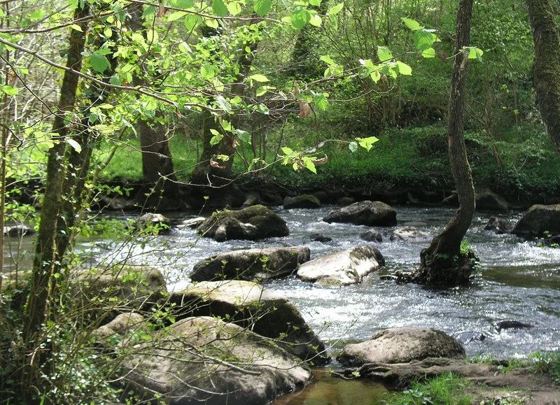 Randonnée Le Chant des Cailloux - Randonnée à pied en Suisse Normande — Notre-Dame-du-Rocher