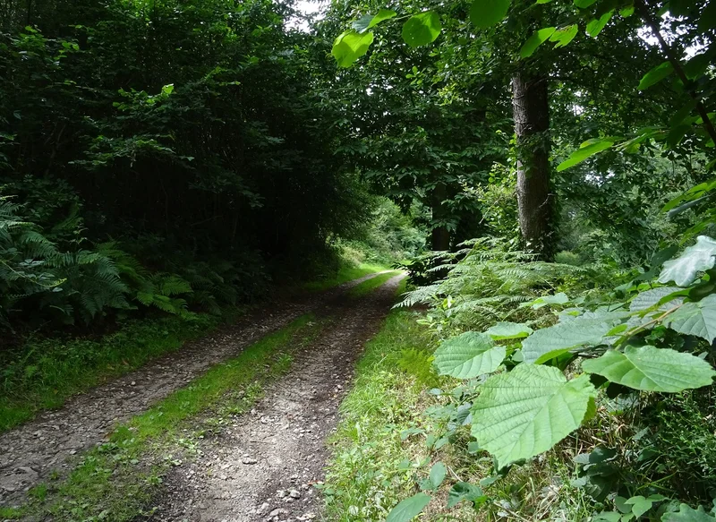 Randonnée Les Monts - Randonnée à pied — Sentilly