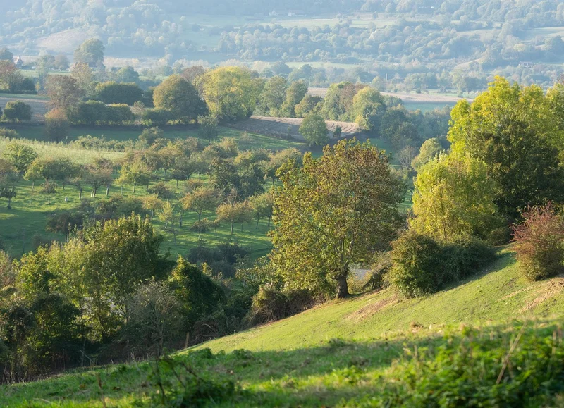 Randonnée Vimer - Randonnée à pied dans le Pays d'Auge — Vimoutiers