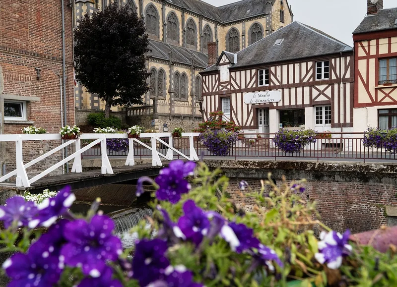 Randonnée Les chemins buissonniers - Randonnée à pied dans le Pays d'Auge — Vimoutiers