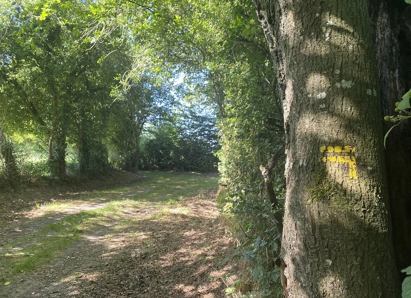Randonnée Des sources de la vie - Randonnée à pied en Pays d'Auge — Ménil-Hubert-en-Exmes