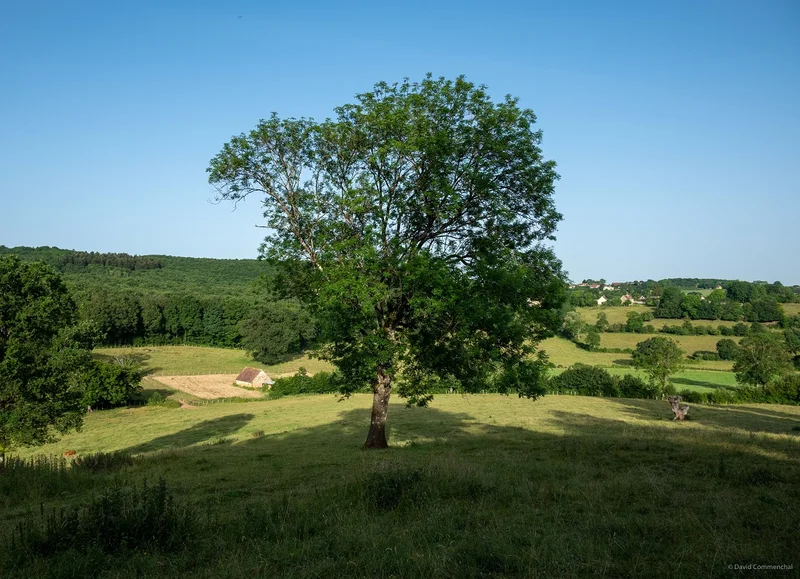 Randonnée La Corbonasière - Randonnée à pied dans le Perche Ornais — Cour-Maugis sur Huisne