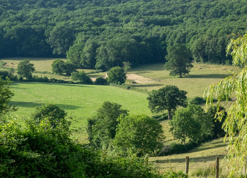 Randonnée La Mariette - Randonnée à pied dans le Perche — Longny les Villages