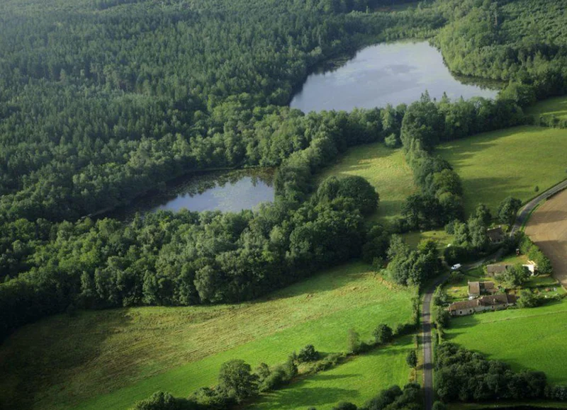 Randonnée Parcours de découverte de la Réserve de Bresolettes — Tourouvre au Perche