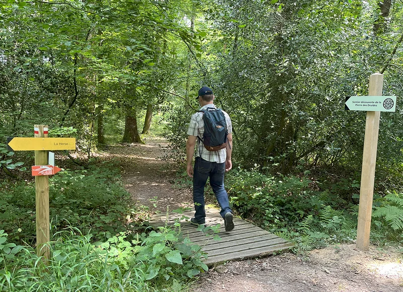 Randonnée Sentier de découverte de la pierre des Druides - Le Perche — Saint-Martin-du-Vieux-Bellême