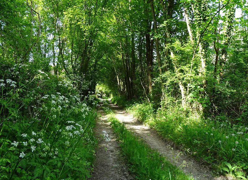 Randonnée Les Jauneaux, Pays Mêlois - randonnée à pied — Coulonges-sur-Sarthe