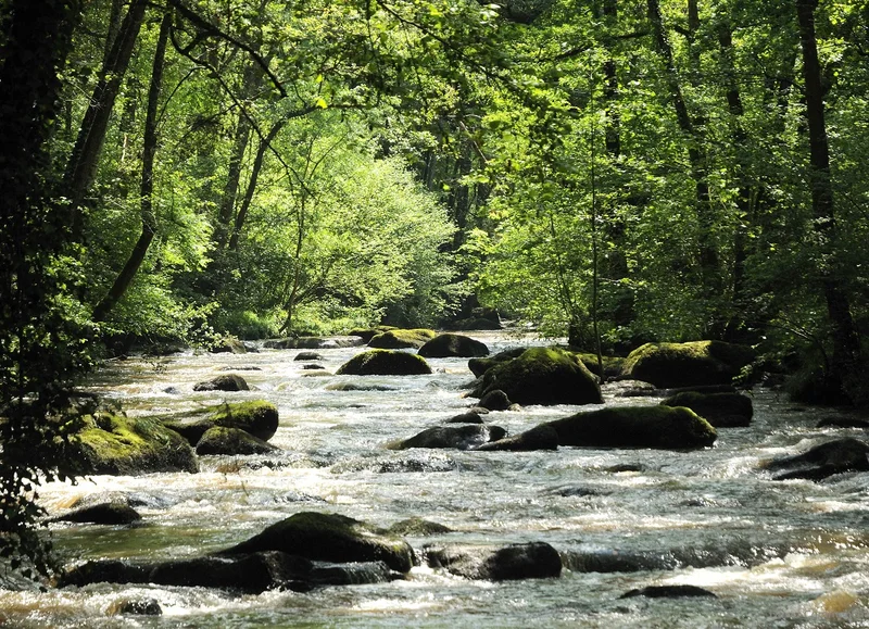 Randonnée Sentier des Gorges de la Roche d'Oëtre — Saint-Philbert-sur-Orne