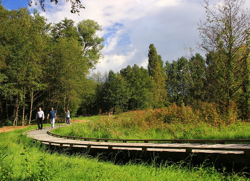 Randonnée Sentier des Vallées et marais de Bretoncelles — Bretoncelles