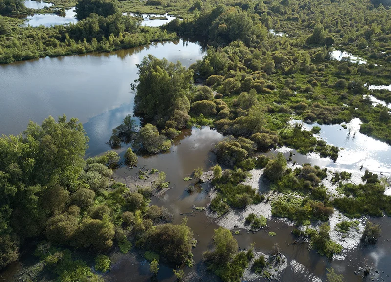 Randonnée Sentier du Breuil au Marais du Grand-Hazé — Bellou-en-Houlme