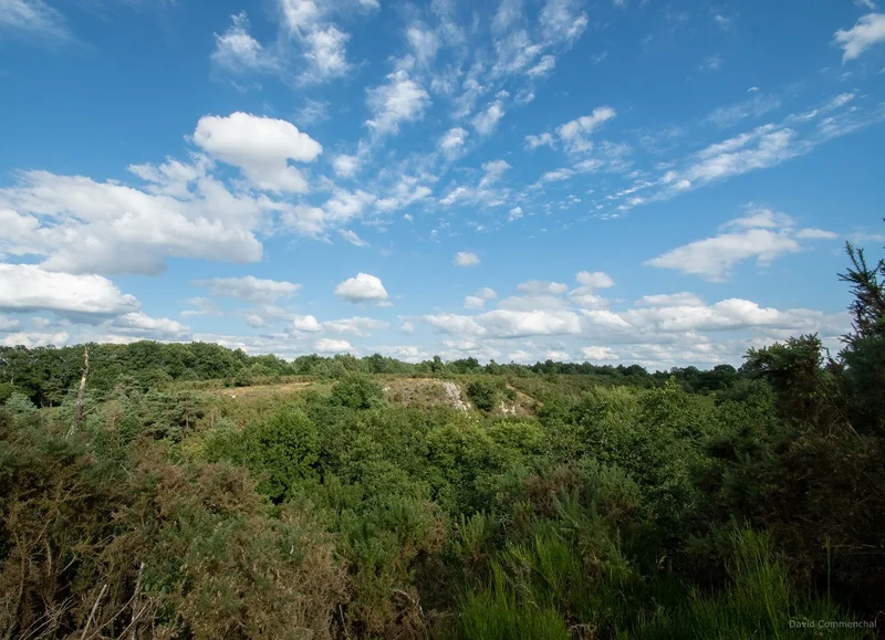 Randonnée Sentier du Vaudobin — Guêprei