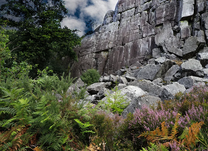 Randonnée Sentier de la Fosse Arthour — Saint-Georges-de-Rouelley