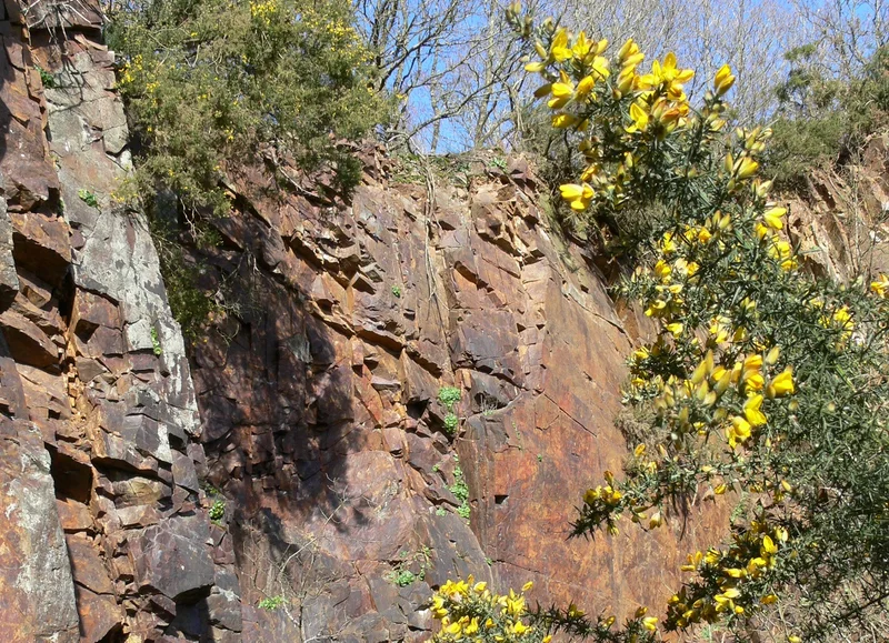 Randonnée Sentier Les Méandres de l'Orne : La carrière — La Courbe