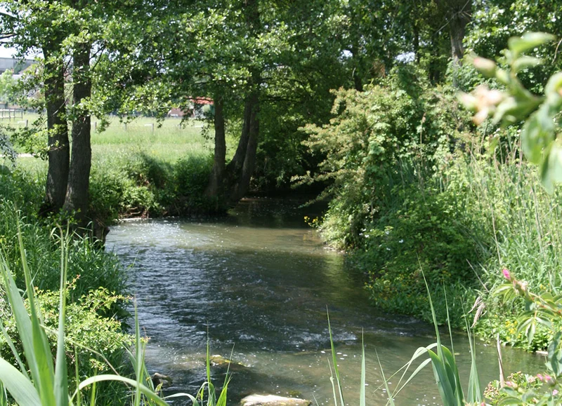 Randonnée Sentier Les Pâtures à Argentan · Argentan