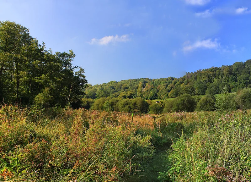 Randonnée Sentier Les Prairies de Campigny — Canapville