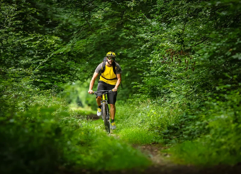 VTT A VTT Au bord de la Visance en Pays de Flers — La Chapelle-au-Moine