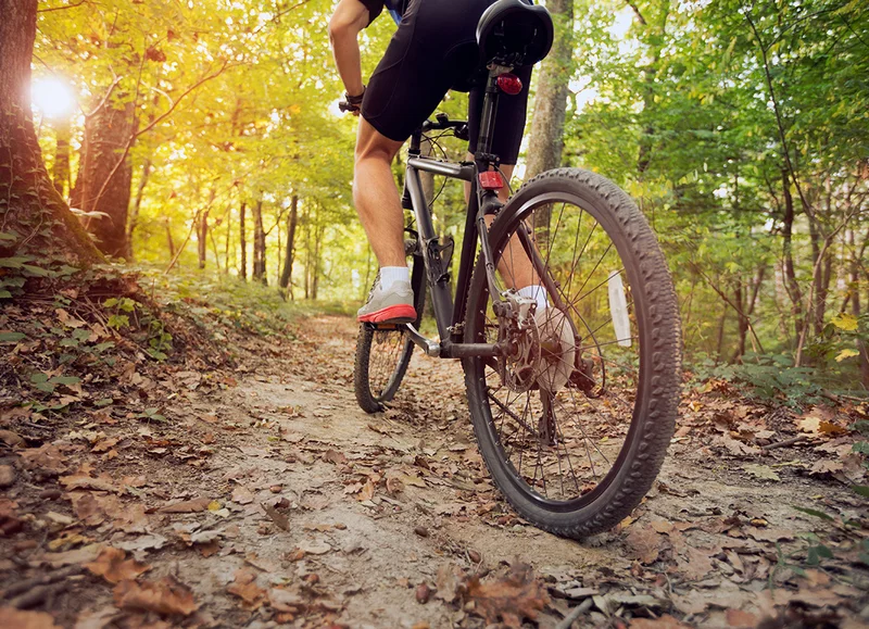 VTT A VTT Les vieux arbres dans le Perche — La Chapelle-Montligeon