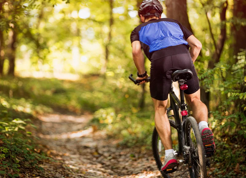 VTT A VTT Vue sur le Perche — Tourouvre au Perche