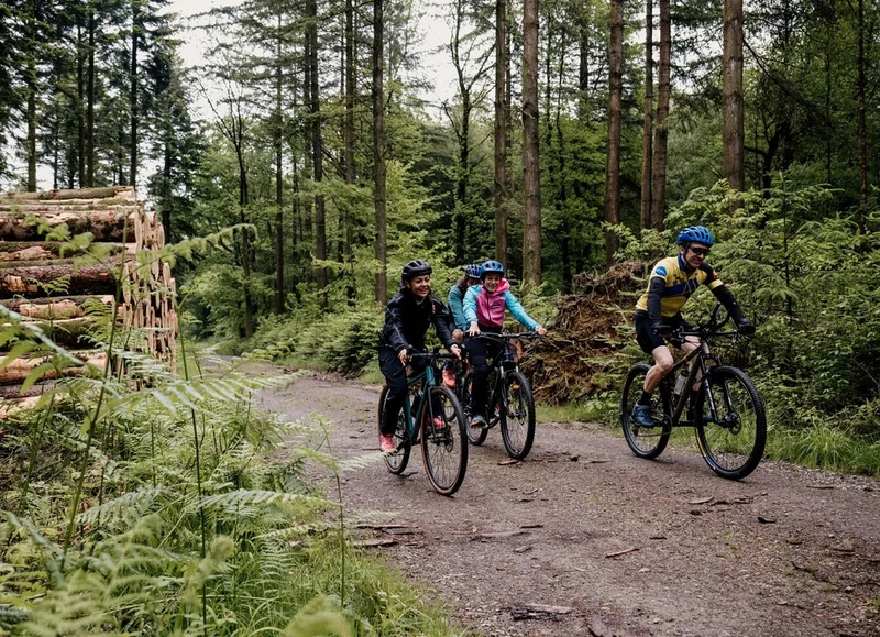 VTT 03 Le Mont Margantin - VTT — Domfront