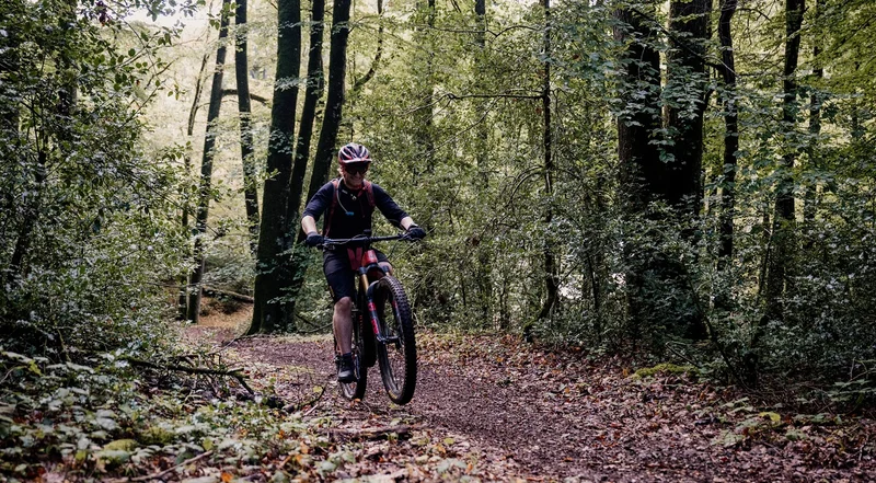 VTT 23 A l'Ouest de Bonvouloir - VTT — Juvigny-sous-Andaine