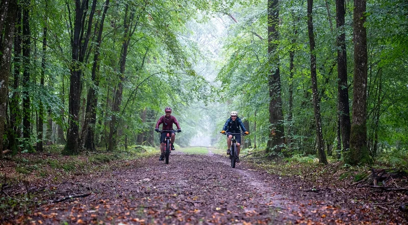 VTT 25 L'Ermitage - VTT — Bagnoles-de-l'Orne