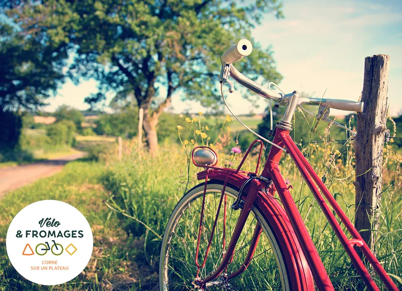 Vélo de route Vélo et Fromages par la Véloscénie — Saint Germain-De-Loisé