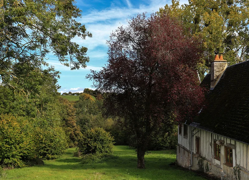 Vélo de route Au Pays du Camembert à vélo — Vimoutiers