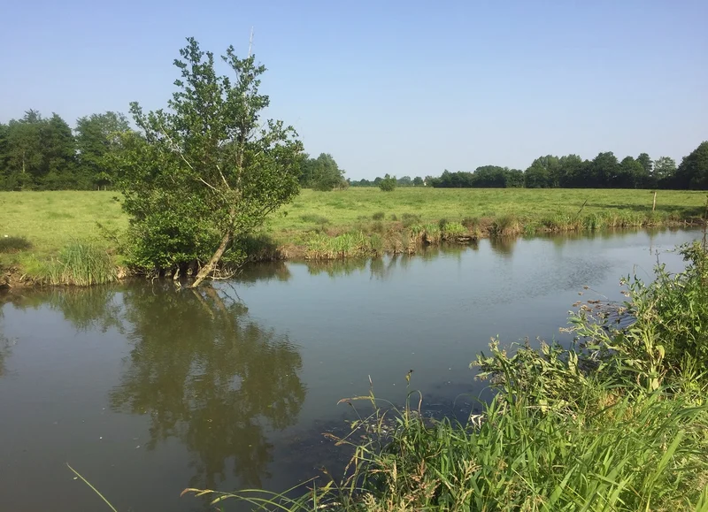 Vélo de route Boucle des bords de l'Orne à vélo — Argentan