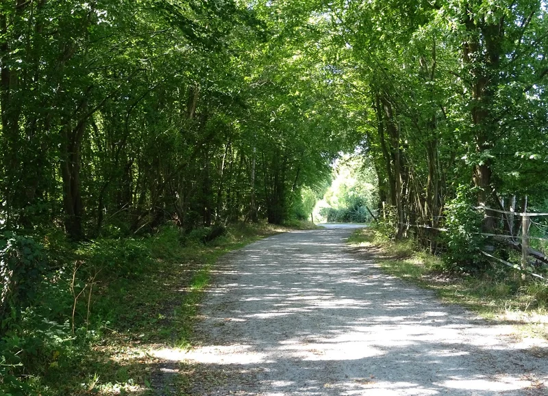 Vélo de route Voie verte de la Risle : de l'Aigle à Saint-Sulpice-sur-Risle — L'Aigle